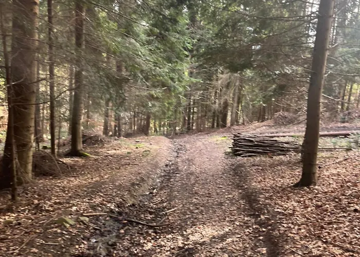 Przy Szlaku Vakantiehuis *